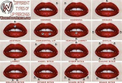 lip piercings on big lips|Full Guide to 22 Different Lip piercings: Types, Pain, and Care.